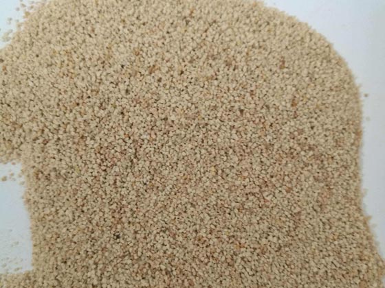 91视频免费网站批發